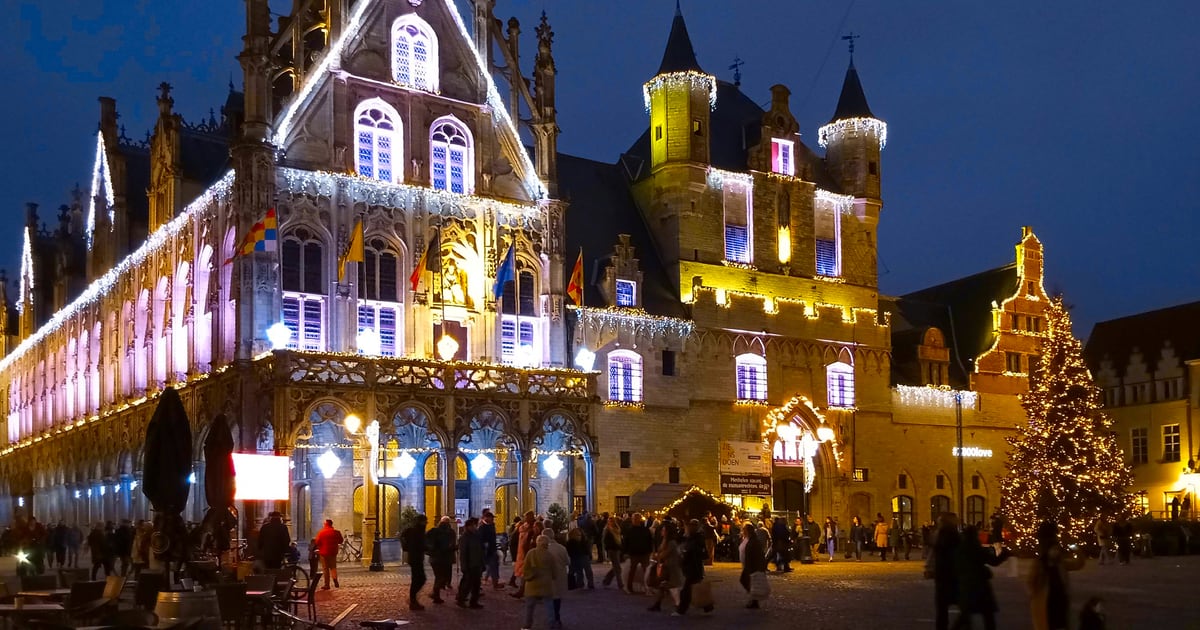 Fotografia del municipio di Mechelen con luci festive e albero di Natale (2024)